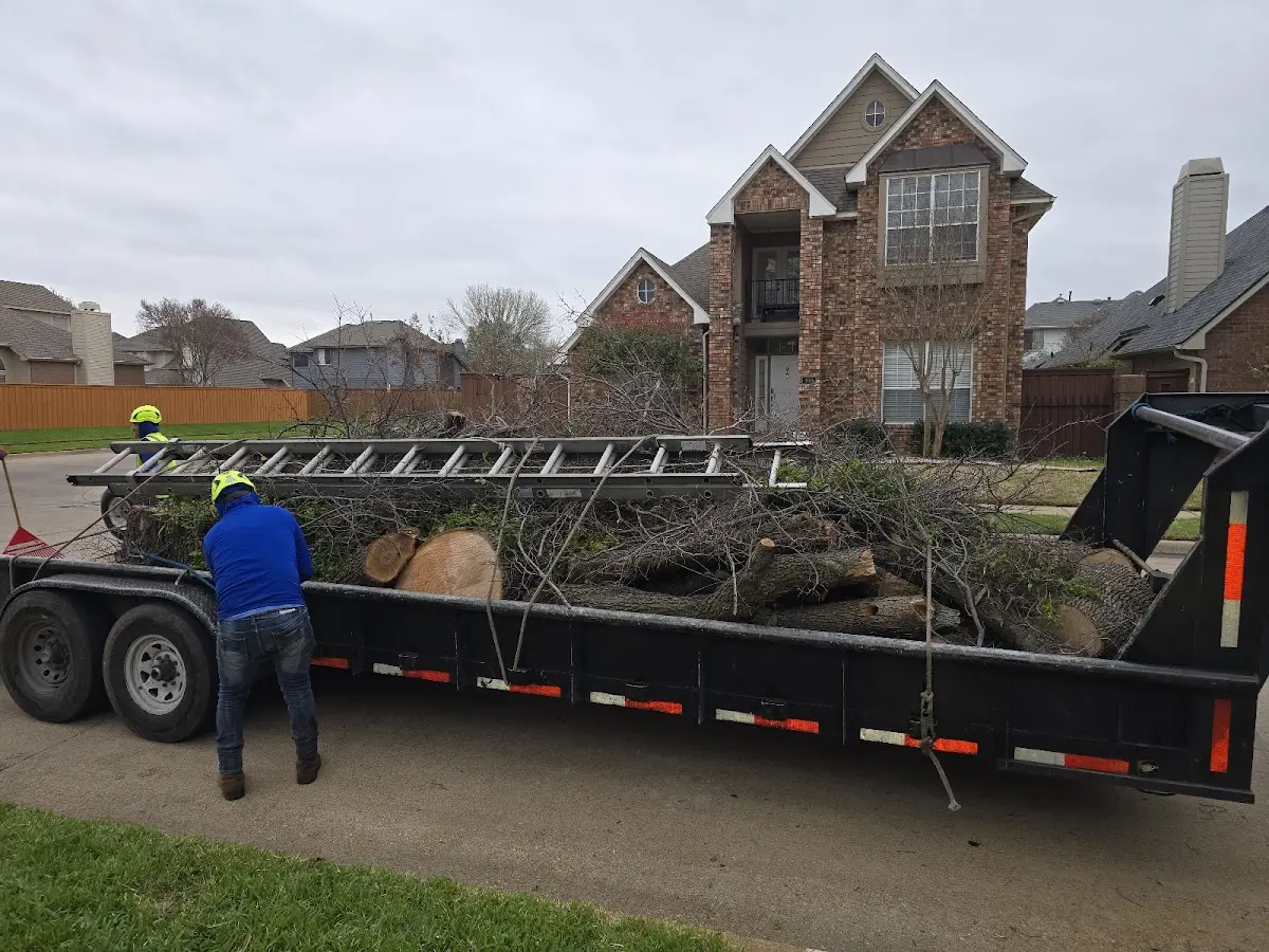 Expert Tree Fertilization with proper safety equipment in Yorkshire